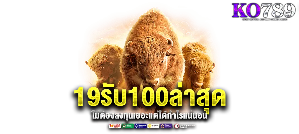 KO789 ล่าสุด